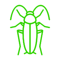 cockroaches elimination